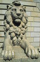 
   Einer von den vier Löwen an den beiden   
   Eingängen zum Innenhof des Rathauses   
