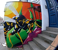 
   Wespen-Graffitty   
