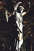 Engel auf privater Grab-Anlage